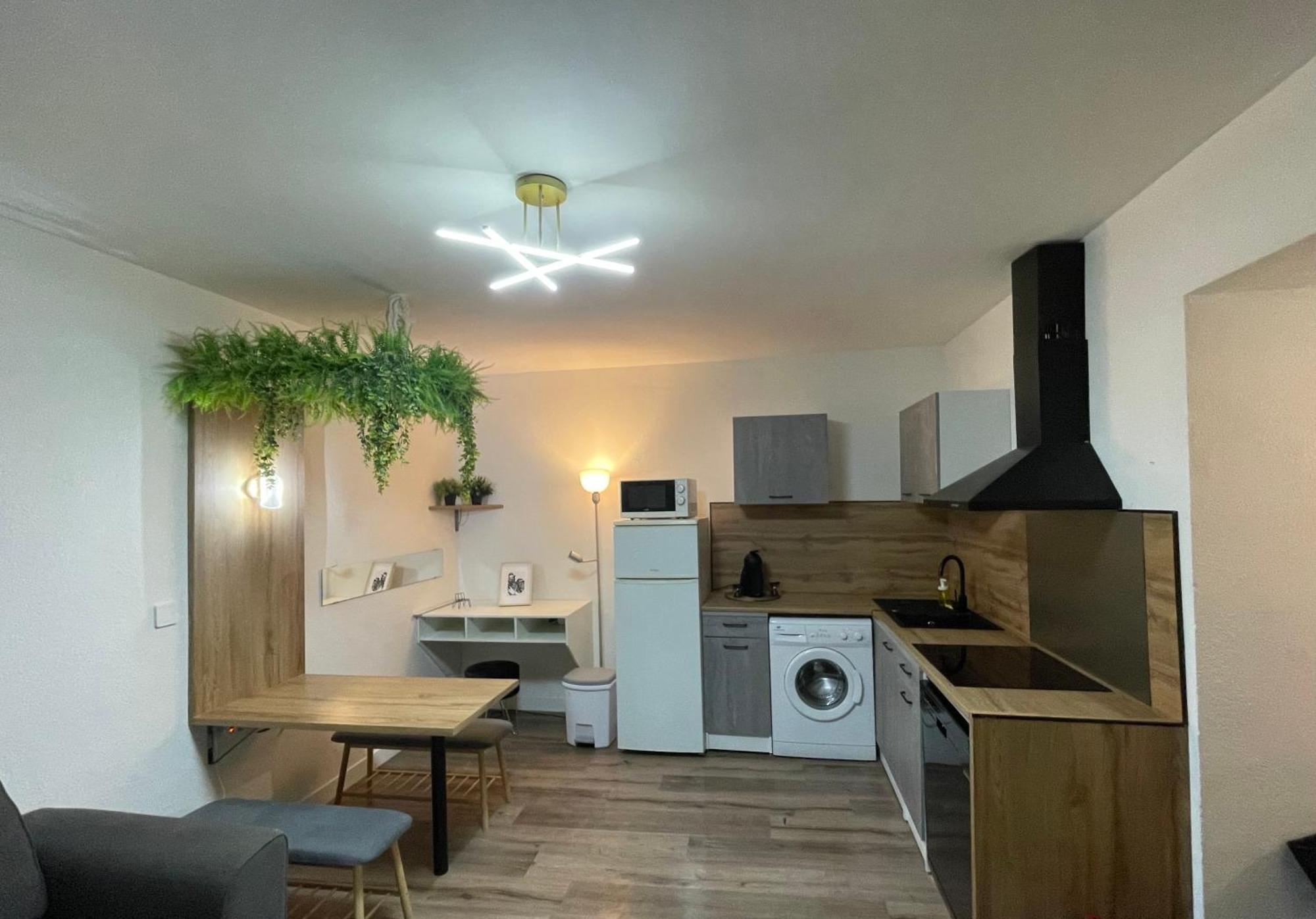 Magnifique Appartement Avignon Intra-Muros Bagian luar foto